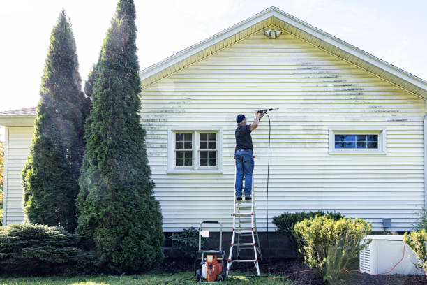 Professional Pressure Washing Services in Ithaca, MI